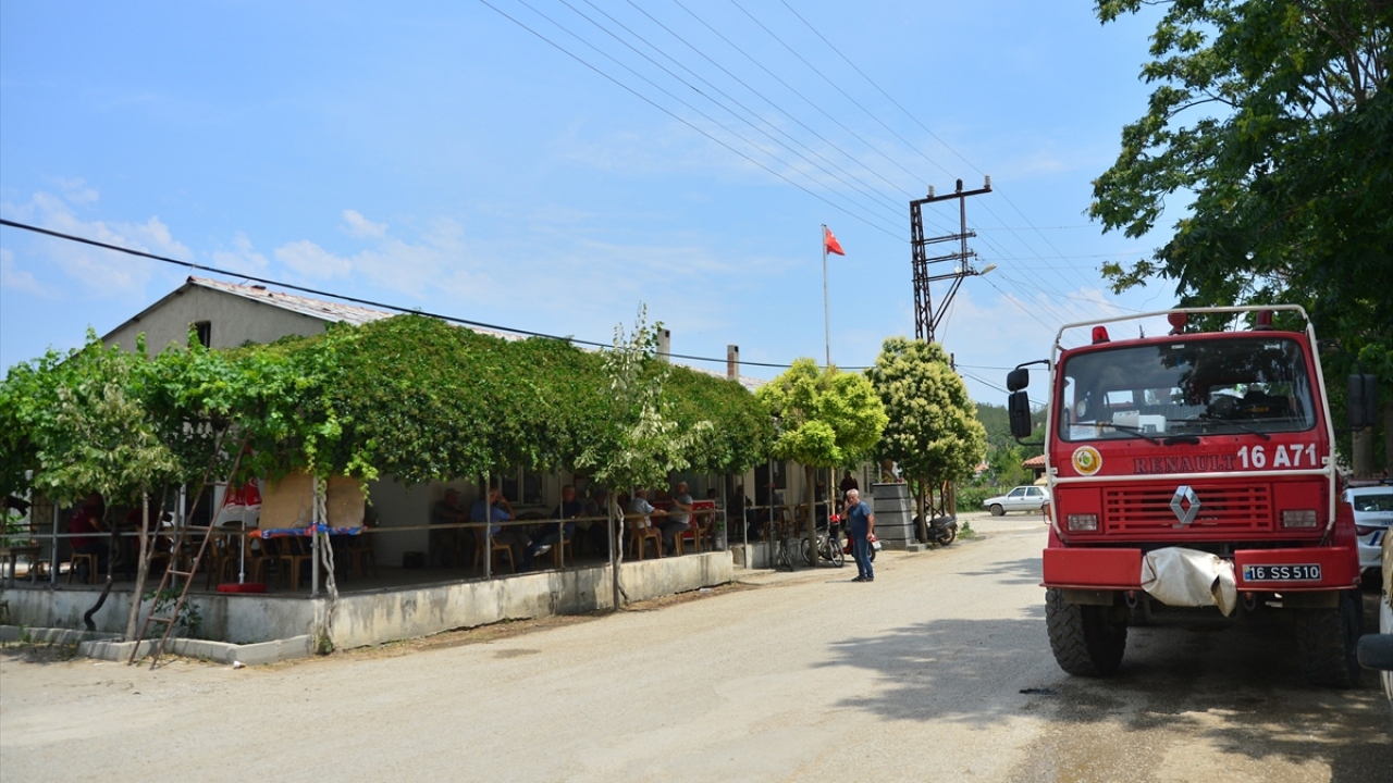 Yangında, dönemin Çanakkale Orman Bölge Müdürü Talat Göktepe şehit olmuştu.