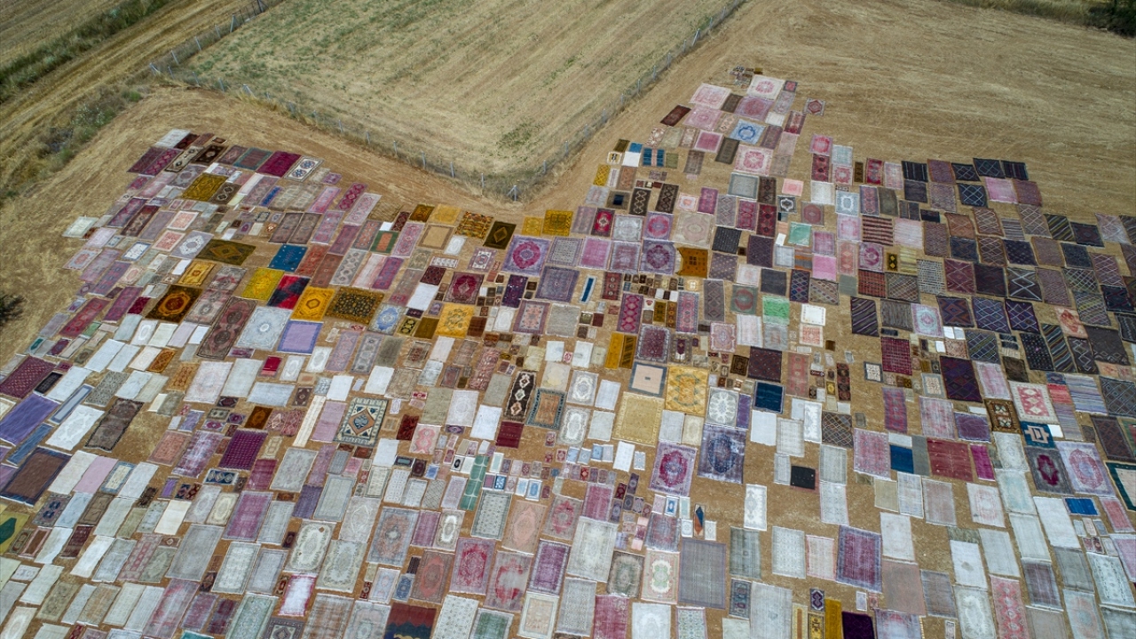 Eskiyen halılar tamir ediliyor, kök boyalarıyla boyanıp yıkanıyor, kuruduktan sonra geniş tarlalara seriliyor.