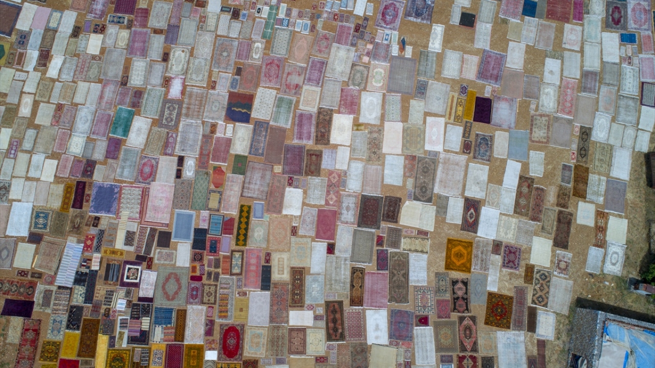 Güneş ışınlarıyla mikroplardan arındırılan ve pastel rengi alan halılar, ardından Amerika başta olmak üzere yurt dışına satılıyor. 