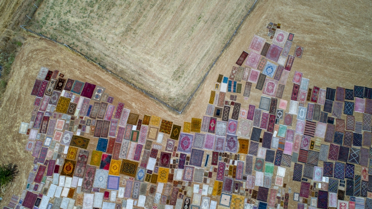 Halı ticaretiyle uğraşan Halil Börekçi, İstanbul Üniversitesi Eczacılık Fakültesinden mezun olduğunu ancak ilgi duyduğu için halıcılıkla uğraştığını söyledi. 