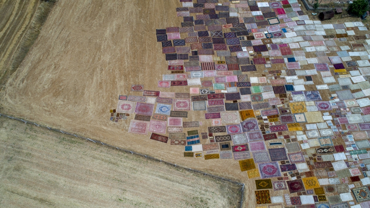 "İş insanları ve ünlüler ilgi gösteriyor"