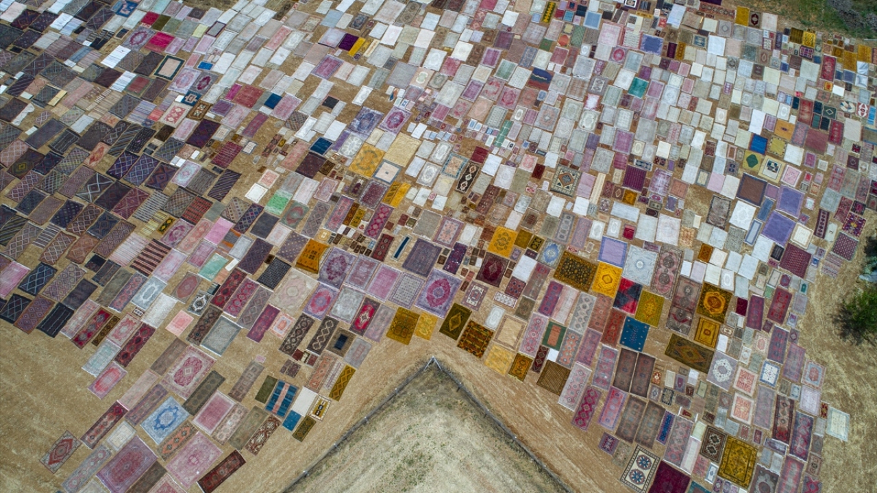 Tarlalarda birbirinden farklı renklerdeki halıların yerli ve yabancı turistlerin de dikkatini çektiğini ifade eden Börekçi, bazı sanatçıların kliplerinde, evlenecek çiftlerin de fotoğraf çekimlerinde halı tarlasını kullandıklarını söyledi.