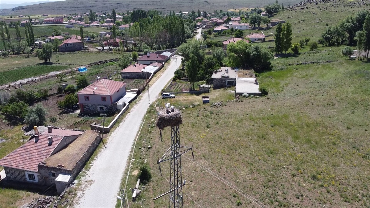 Kayseri`nin Tomarza ilçesinin dört bir yanına yuva yapan leylekler güzel görüntüler oluşturdu.