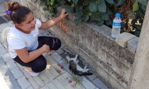 Can çekişen kediyi gören küçük Laden gözyaşlarına boğuldu