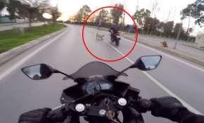 Yolda hayvana çarpan sürücü ne yapmalı?