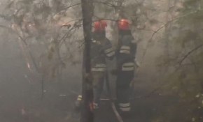 Ukrayna'da orman yangını: 6 ölü, 9 yaralı