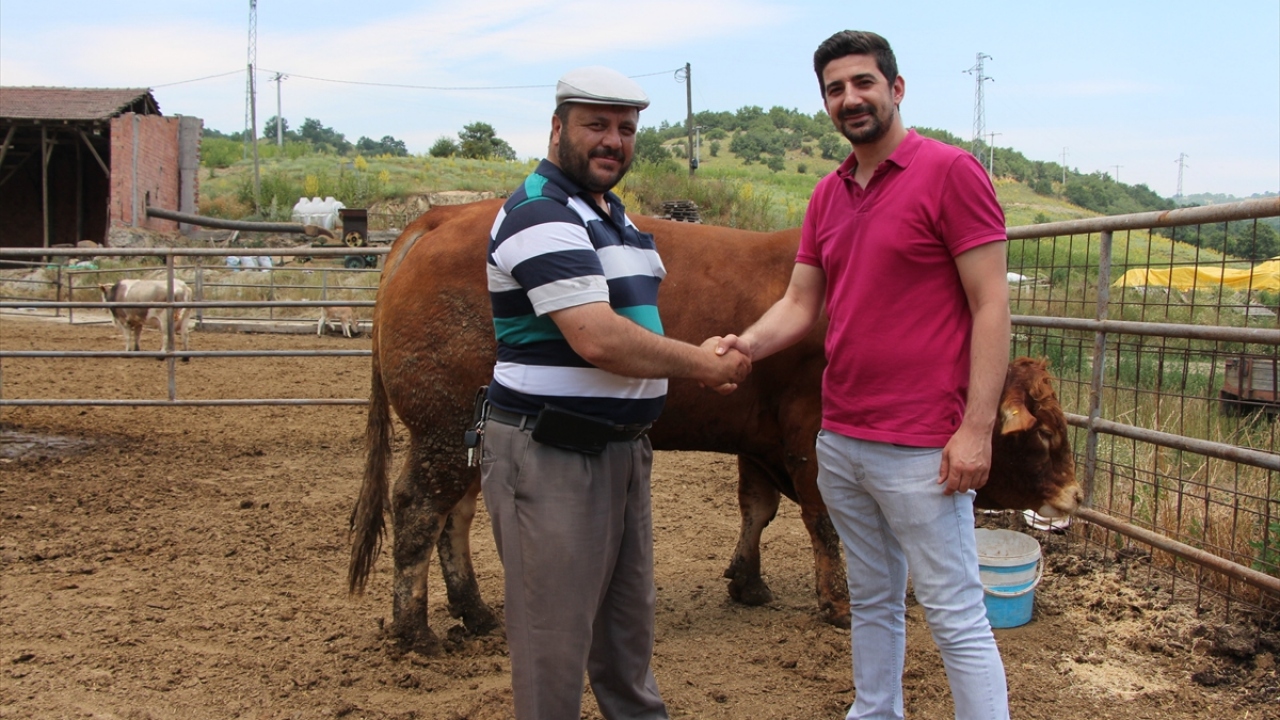 Bilecik`in Pazaryeri ilçesinde besicilik yapan Enver Erkanlı, "Mışka" adını verdiği kurbanlığını otomobil ile takas etmek üzere satışa çıkardı.