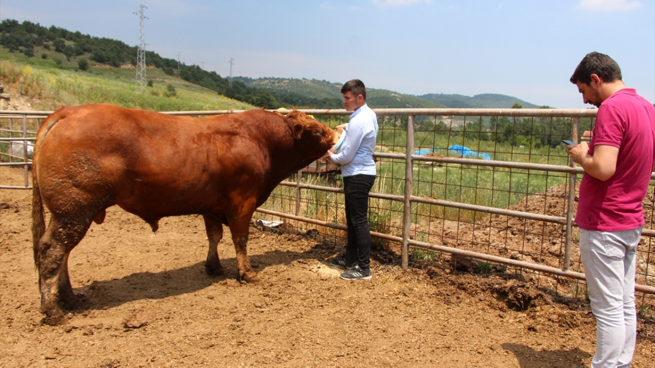 Erkanlı, satışa çıkardığı kurbanlığa alıcı beklediğini de sözlerine ekledi.