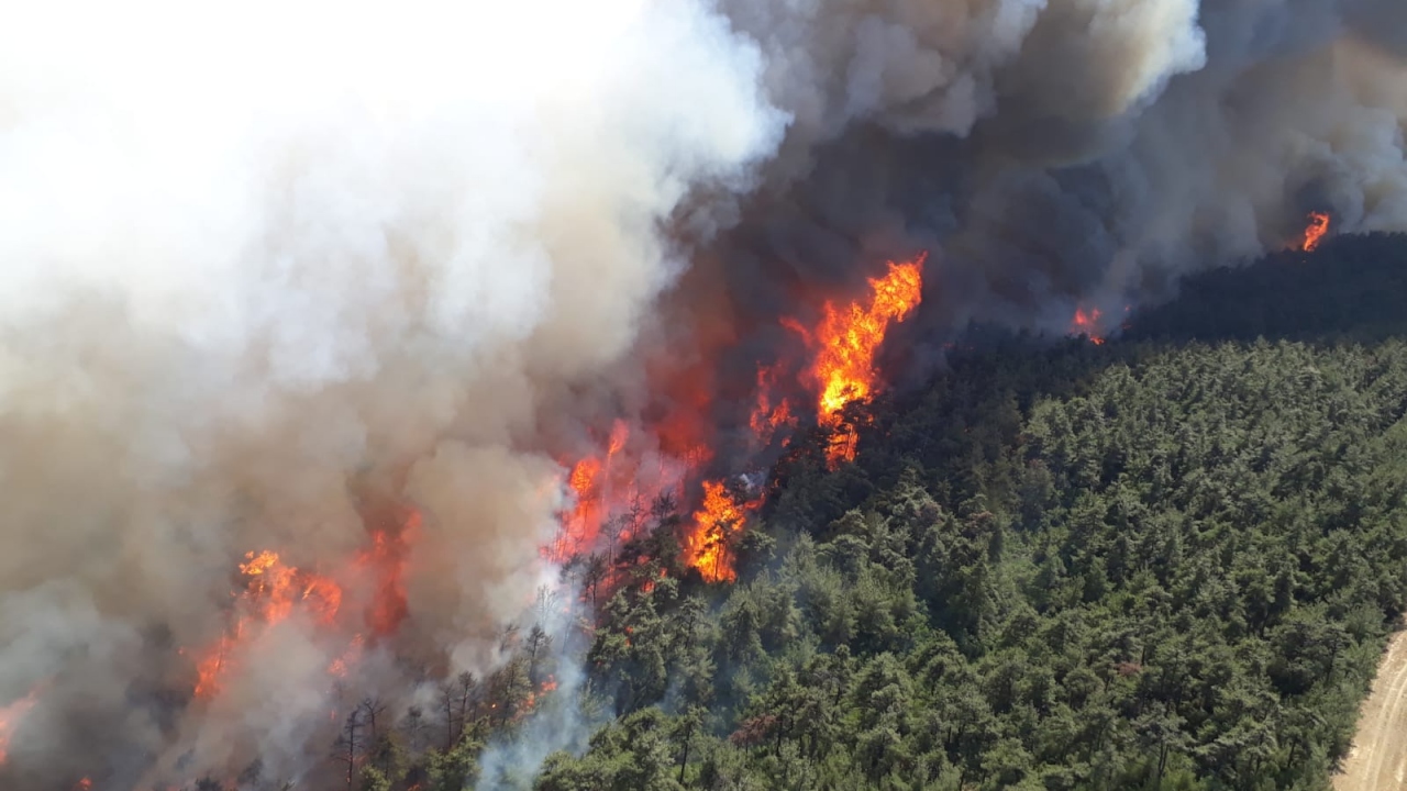 TRT Haber`in ulaştığı görüntülerde yangının ilk çıktığı anlar yer aldı.