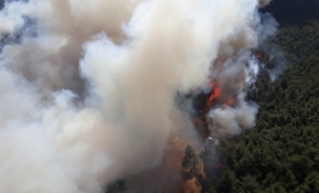 Gelibolu yangını böyle başladı