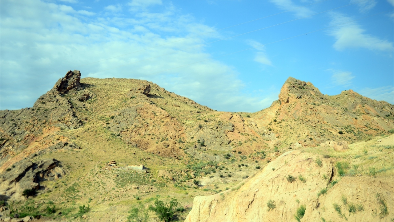 Tuzluca ilçesi ile Kars`ın Digor ilçesi sınırlarındaki arazide arkadaşlarıyla yürüyüş yapan öğretmen Remzi Gümüştekin, yürüyüş yaptıkları bölgedeki kayalıkların içinde yüzlerce fosille karşılaştı. 