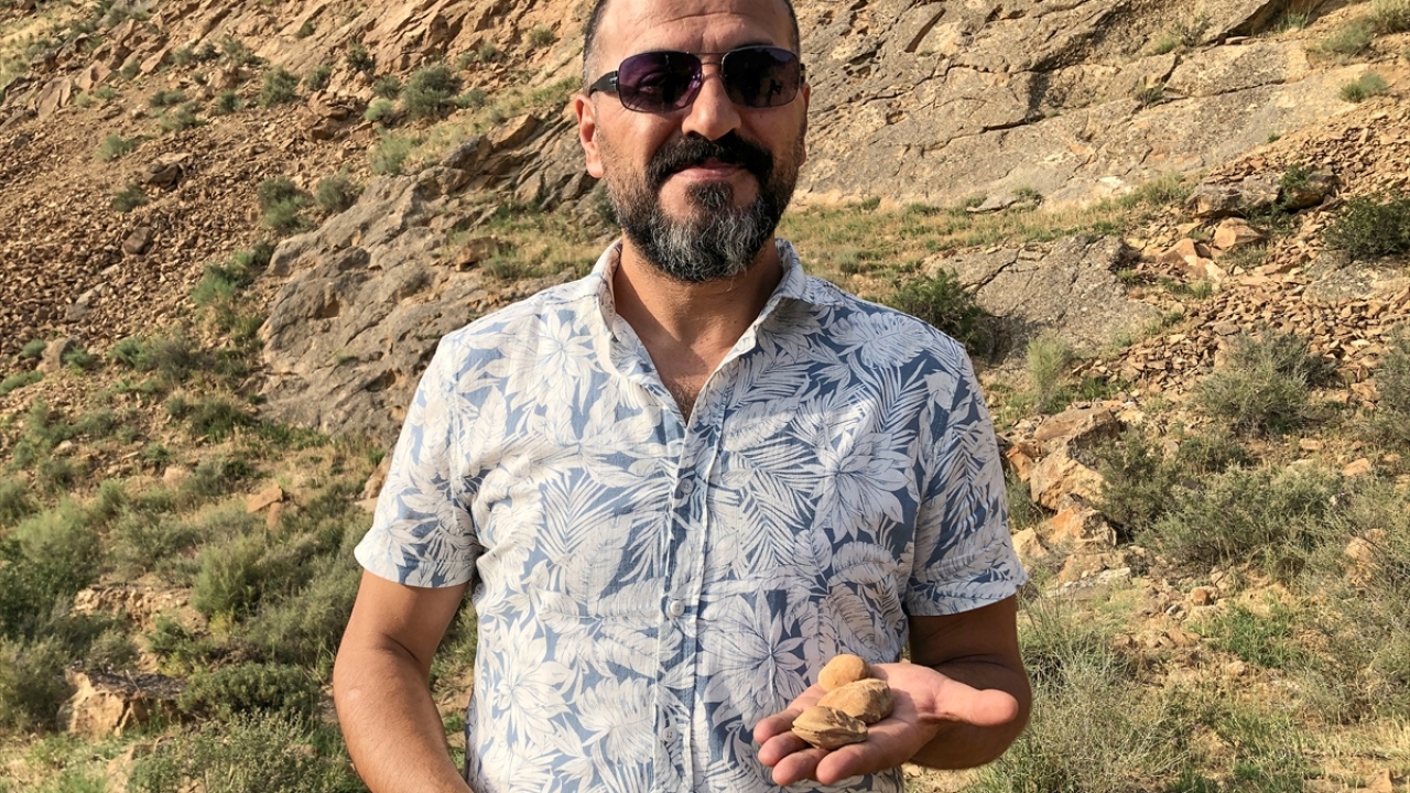 Öğretmen Remzi Gümüştekin, arkadaşlarıyla bölgede gezerken fosillerle karşılaştıklarını söyledi.