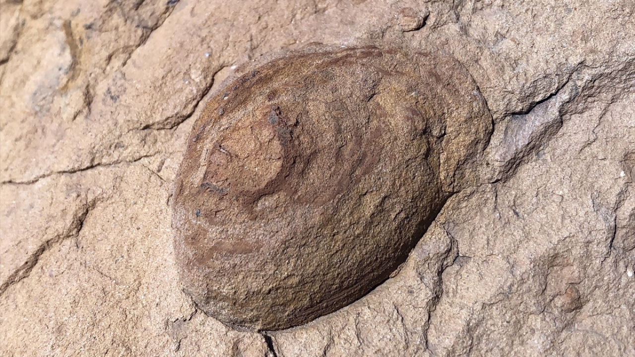 "İşin uzmanları incelesin diye girişimlerde bulunduk"