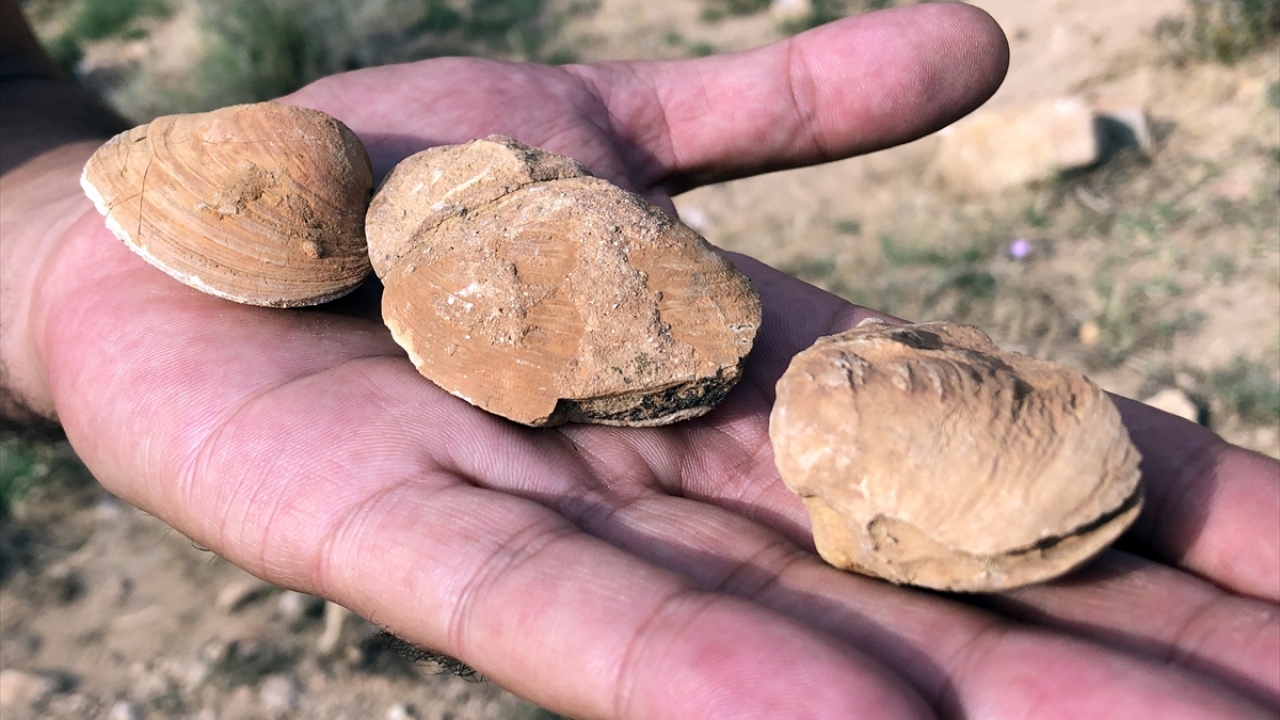 Iğdır Üniversitesi Teknik Bilimler Meslek Yüksek Okulu Dr. Öğretim Üyesi Okan Özbakır da bölgenin kadim medeniyetlere ev sahipliği yapmış bir bölge olduğunu belirtti.