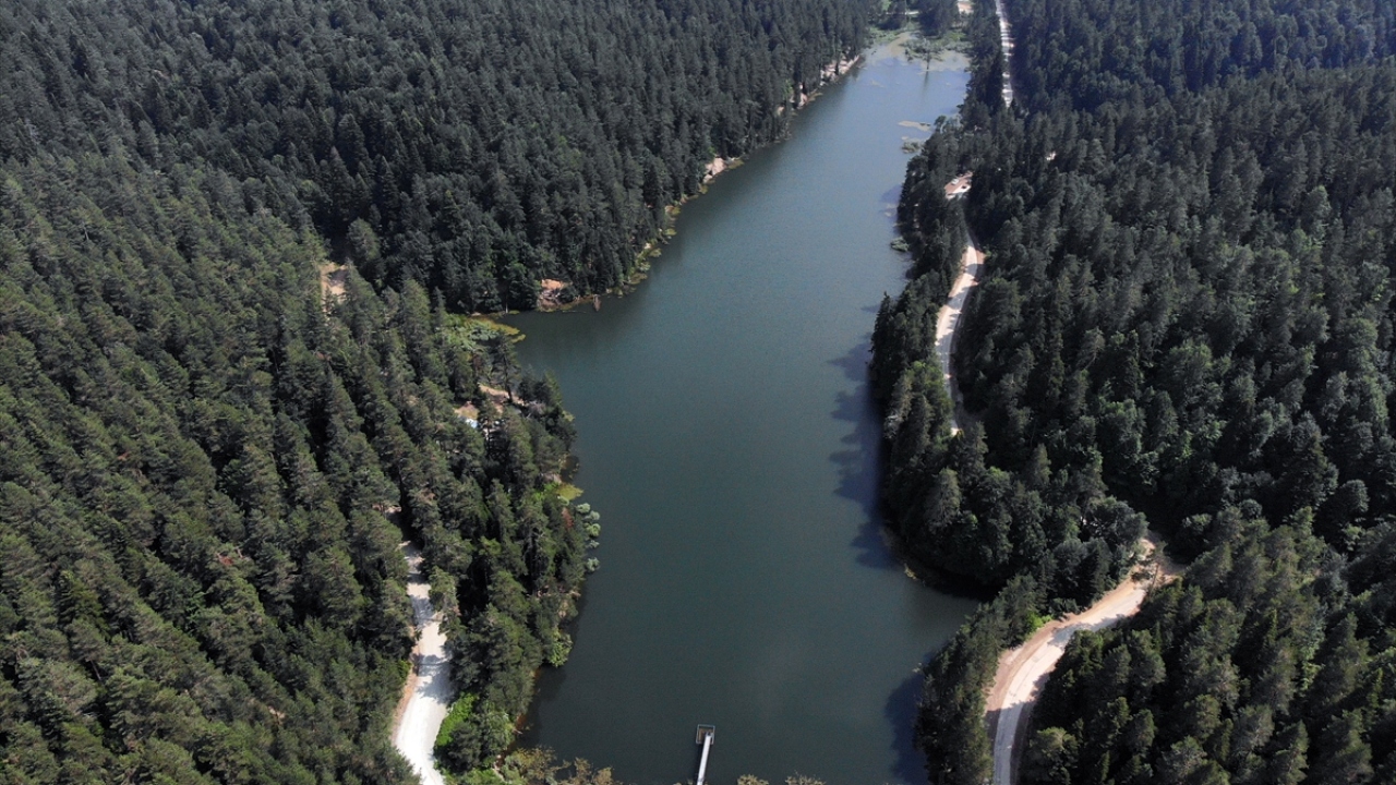 Temiz hava almak için Eskişehir`den Esere Göleti`ne geldiğini anlatan Yılmaz, "Buranın doğası çok güzel, hava temiz. Ortam da sessiz oluyor. Burada huzur bulduğumuz için buraya kaçıyoruz." ifadelerini kullandı. 