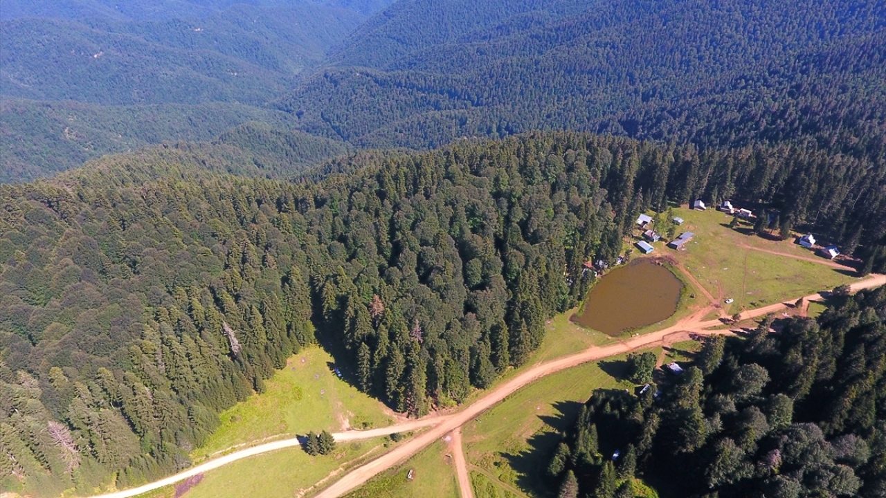 Özellikle hafta sonları doğa turlarının uğrak mekanı olan yaylaya gelenler, Efteni Gölü, Güzeldere Şelalesi Tabiat Parkı`nı yol üzerinde ziyaret ederek, su sesinin kuş sesleriyle birleştiği bu güzelliği doyasıya yaşıyor.