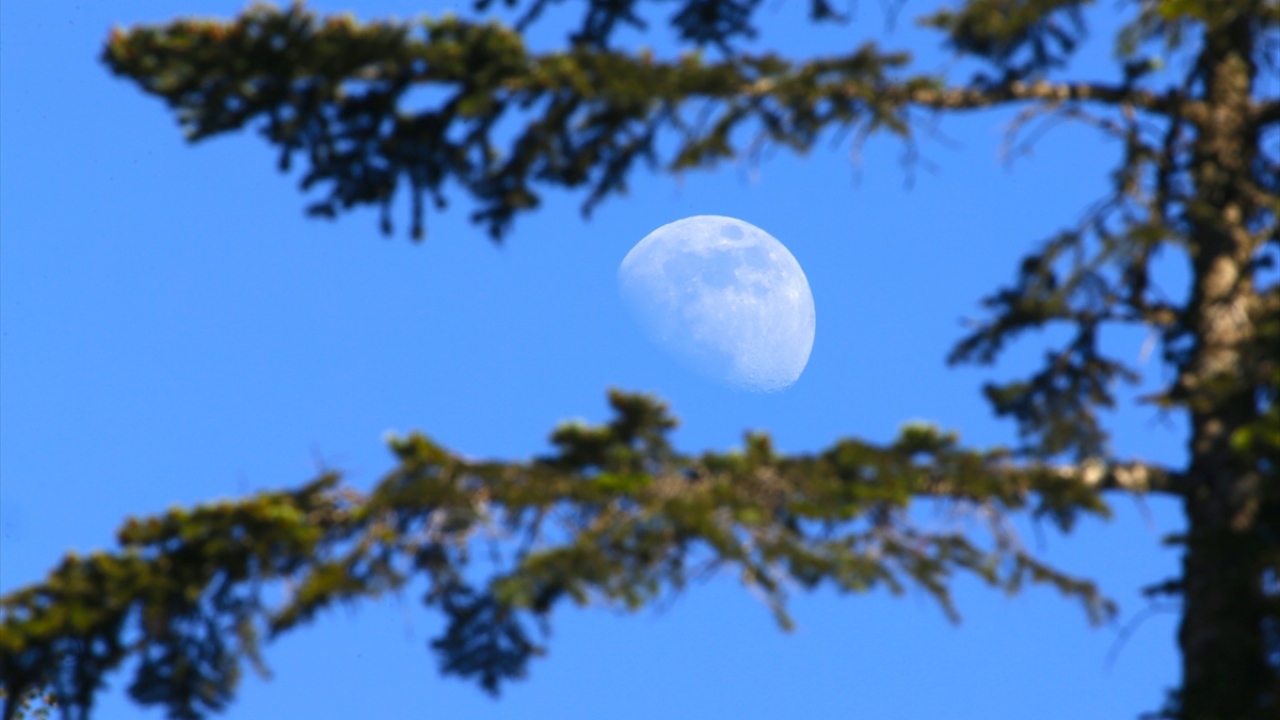 Pürenli Yaylası`ndan ulaşımın sağlandığı rakımları 800 ile 1900 metre arasında değişen Balıklı, Derebalık ve Hera yaylaları da kalabalık ortamlardan uzaklaşmak isteyen doğaseverlerin gözde mekanları arasında yer alıyor. 