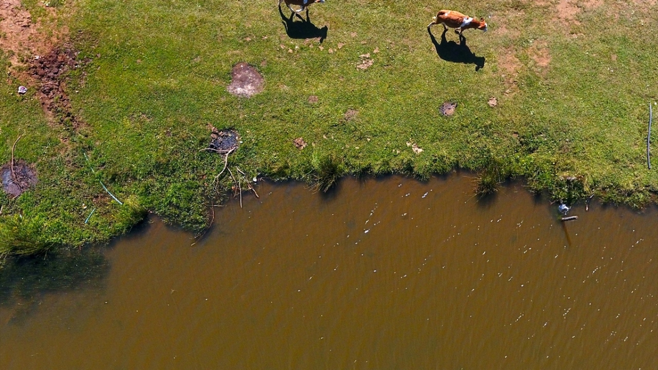 Yaylalardaki kamp alanlarında çadır kurup ya da karavanıyla konaklayabilme imkanı bulan ziyaretçiler, yayla evlerinde de misafir edilebiliyor. 