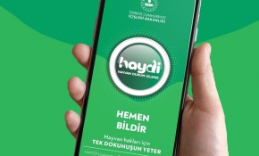 Hayvan dostlarına 'Haydi' ile hızlı ihbar imkanı