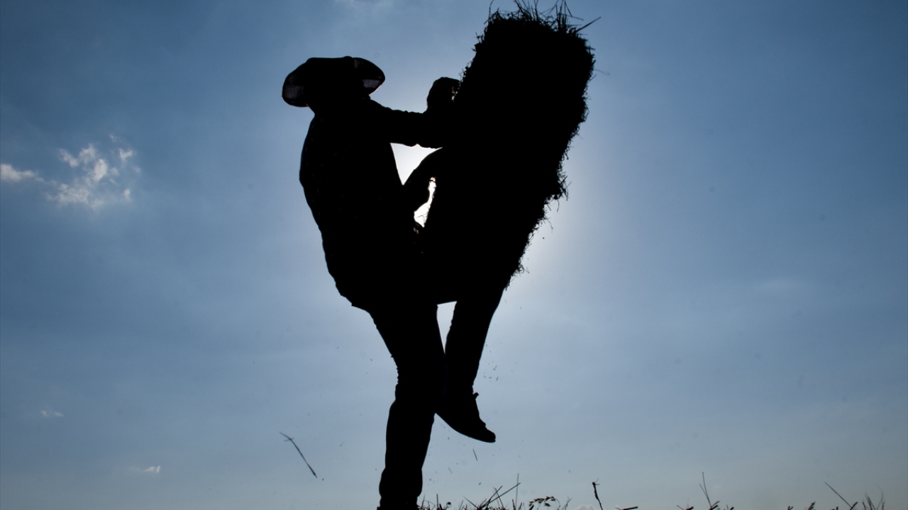 Uzun geçen kış dolayısıyla hayvanlarını yaklaşık 6 ay ahırda besleyen köylüler, şu sıralar tarlalarla başlayan ot biçme mesailerini günlerce sürdürüyor.