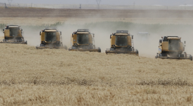 Güneydoğu'dan 1 milyar dolarlık hububat ve bakliyat ihracatı