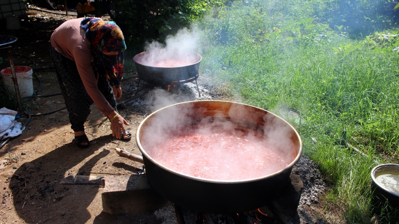 Domates salçası yapan 5 çocuk annesi Hatice Dadak, salça yapımının zor ve meşakkatli bir iş olduğunu söyledi.