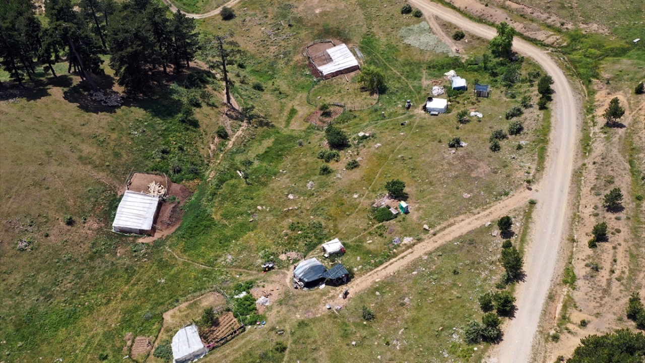 Bu doğal mekanlarda yaylacılığın yanı sıra trekking, foto safari, kuş gözlemciliği, dağcılık, mağaracılık, kamp ve karavan turizmi sıklıkla yapılıyor.