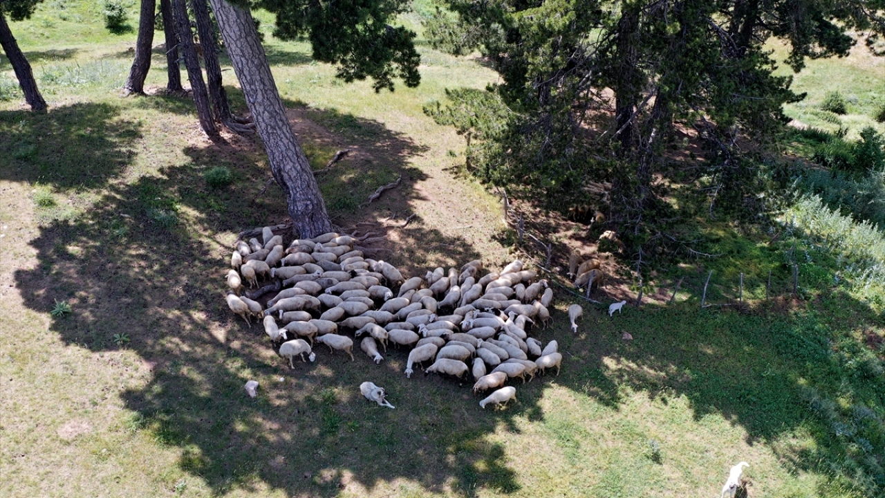 Gece açık havada gökyüzünün sonsuz derinliğinde yıldızları ve gök cisimlerini izleme fırsatı bulanlar, oksijen oranı yüksek ortamda deliksiz uyku imkanına sahip oluyor. 