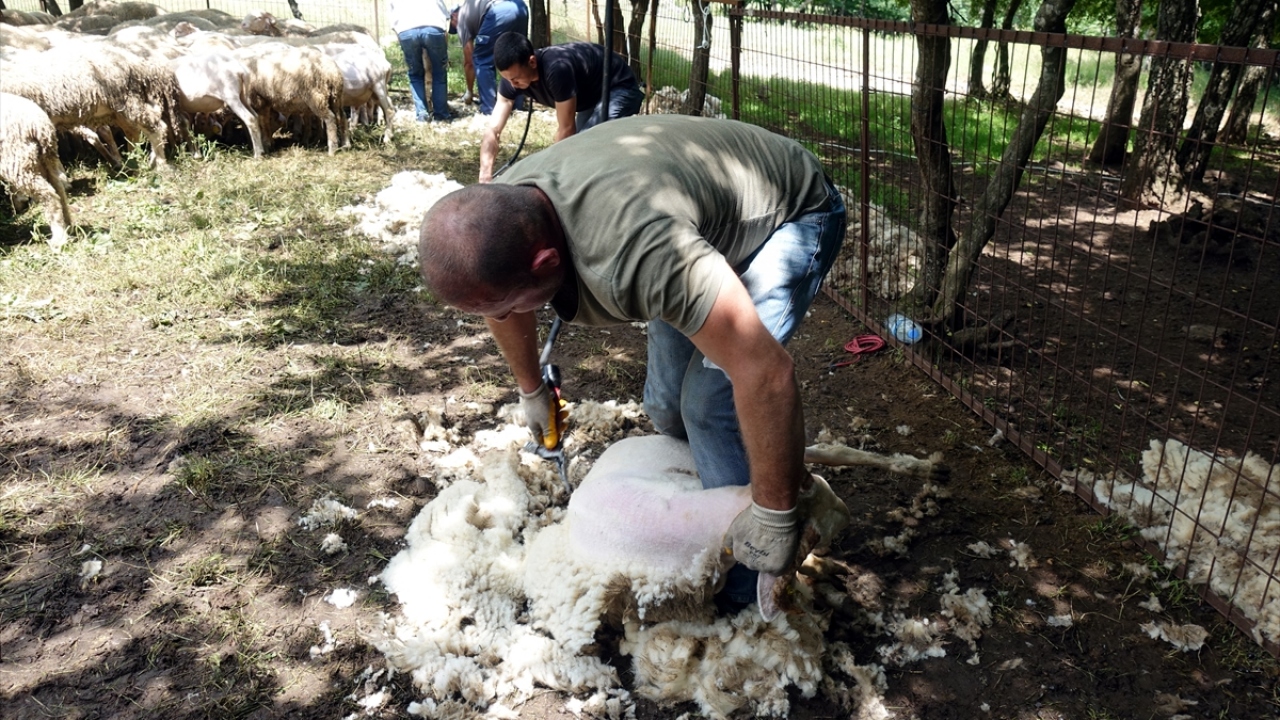 Kırklareli`nde yaklaşık 8 yıldır kırkımcılık yapan Kadir Sarı, yaklaşan Kurban Bayramı ile işlerinin yoğunlaştığını söyledi.