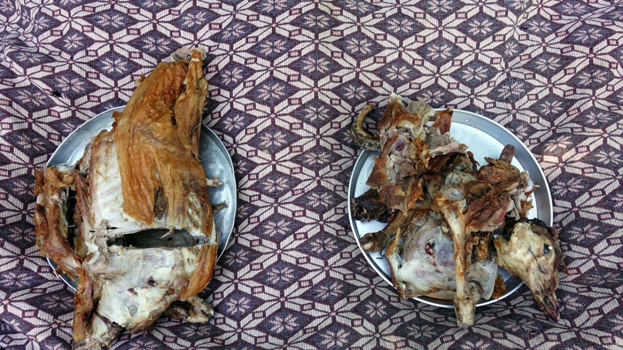 Küçükbaş hayvanlara "kuaför" hizmeti verdiklerini anlatan Sarı, hayvanların yünlerini kırktıklarını, tırnak ve ayak bakımlarını yaptıklarını dile getirdi.