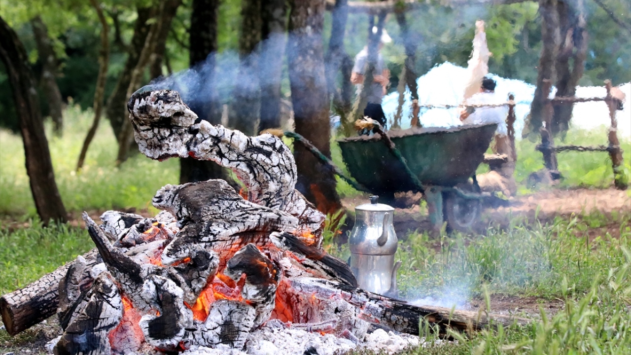 Koyunları kırktıkları gün sürü sahiplerinin çevirme yaptığını belirten Sarı, "Bu bir Balkan geleneği. Geleneklerimizi yaşatmaya çalışıyoruz. Çok eski yıllarda olduğu gibi çevirmemizi mutlaka yapıyoruz." diye konuştu. 