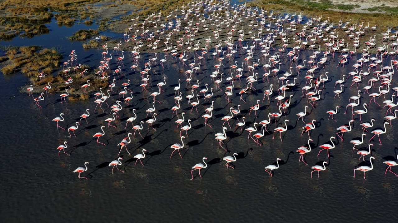 Türkiye`nin en büyük ikinci gölünün bulunduğu Tuz Gölü havzası, İç Anadolu Bölgesi`nde Cihanbeyli ve Haymana platolarıyla çevrili çukur alanın en alçak bölümünde bulunuyor.
