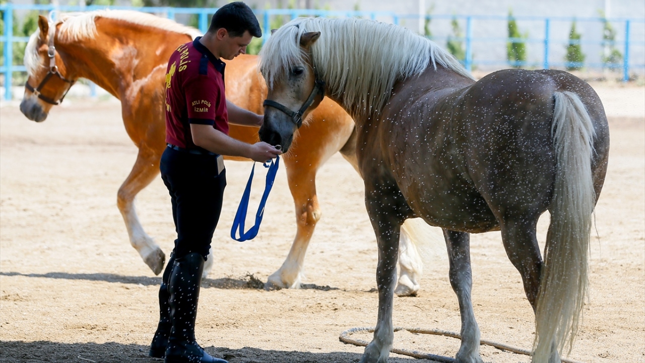 İl Emniyet Müdürü Yardımcısı Uğur Alan, yaptığı açıklamada, İzmir`de atlı birliğin, 2001 yılında 5 atla kurulduğunu söyledi.
