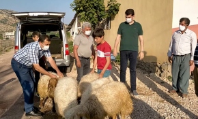 Kazada kuzusu ölen çocuğa kaymakamdan sürpriz