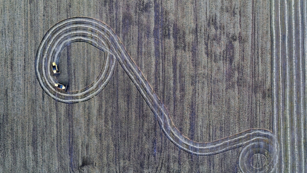 Türkiye`nin "tahıl ambarı" olarak nitelendirilen ve hububat hasadının sürdüğü Konya`da, ekim başlangıcı hariç yağış dağılımının buğday için dengeli olması rekolteye olumlu yansıyor.