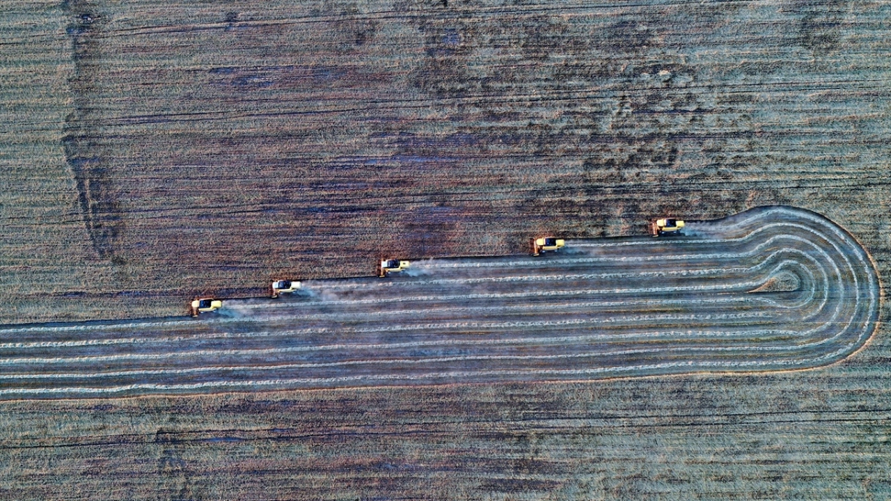 Buğday ekimine yönelik destekler ve alım fiyatının yanı sıra verim artışı da çiftçinin yüzünü güldürüyor. 
