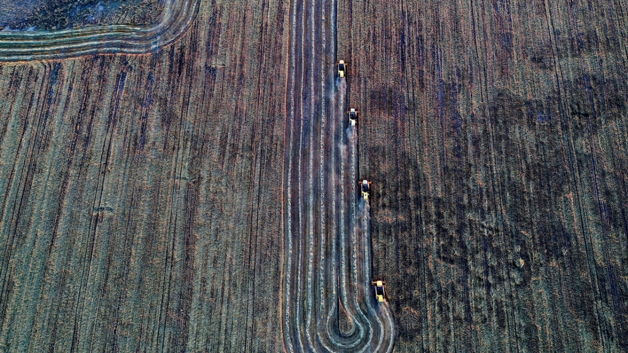 Kadınhanı ilçesinde 311 bin dekar arazideki tarımsal faaliyetiyle ülke ekonomisine önemli oranda katkı sağlayan Altınova`da, 500 futbol sahası büyüklüğündeki parsellerde, 5 ila 15 biçerdöverle yapılan hasat görüntülendi. 