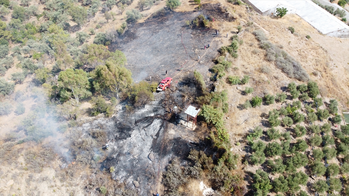 Yangında yaklaşık 20 dönüm makilik ve çalılık alan zarar gördü. Polis ekipleri yangının çıkış nedeniyle ilgili çalışma başlattı. 