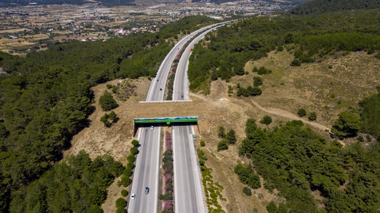 İzmir-Çeşme Otoyolu`nda ekolojik köprü