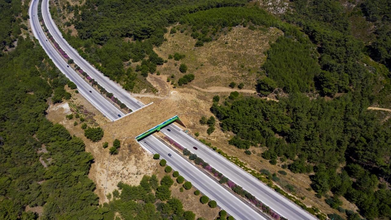 İzmir-Çeşme Otoyolu`nda ekolojik köprü