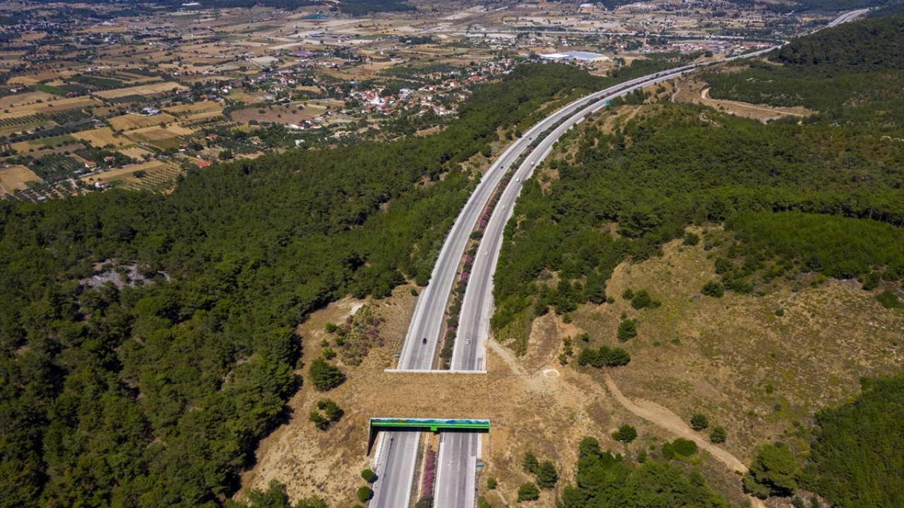 İzmir-Çeşme Otoyolu`nda ekolojik köprü