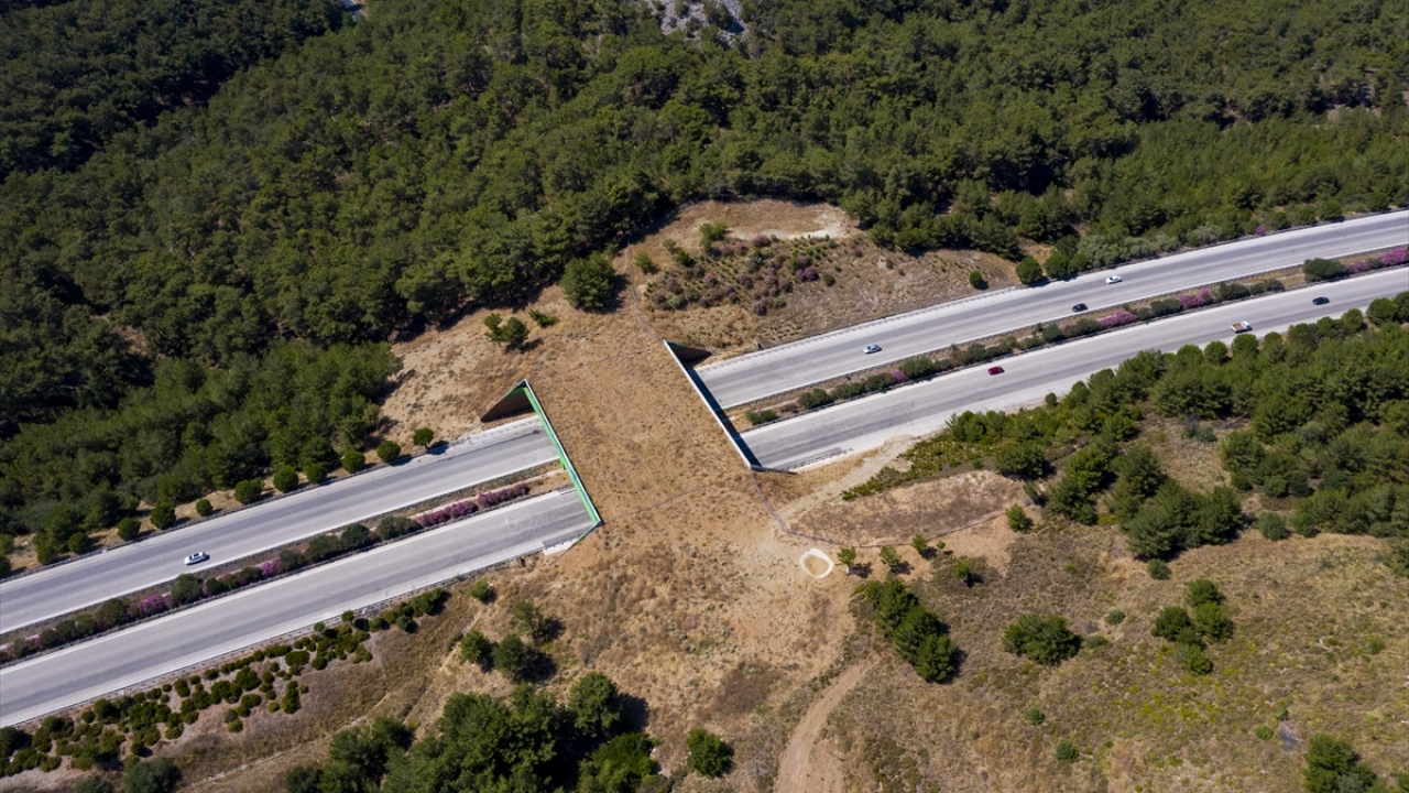 İzmir-Çeşme Otoyolu`nda ekolojik köprü
