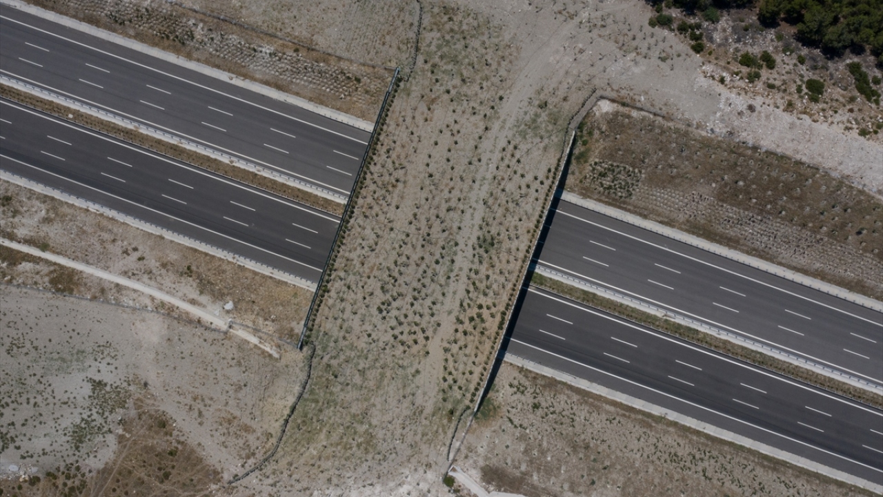 İstanbul-İzmir Otoyolu`nda iki ekolojik köprü