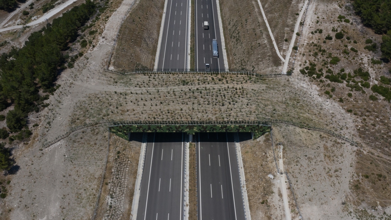 İstanbul-İzmir Otoyolu`nda iki ekolojik köprü