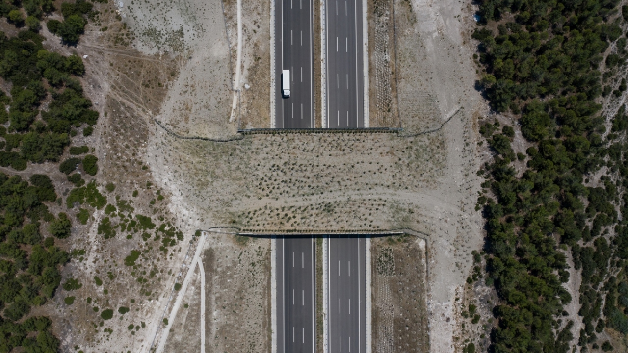 İstanbul-İzmir Otoyolu`nda iki ekolojik köprü