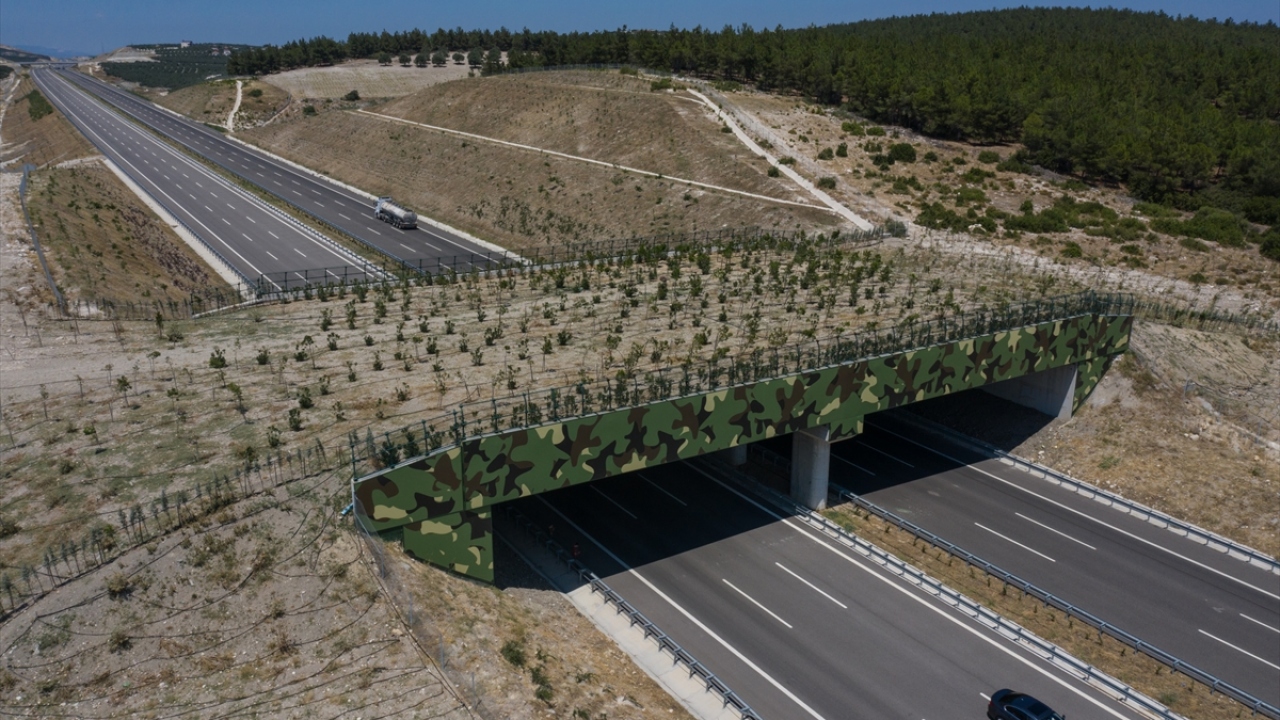 İstanbul-İzmir Otoyolu`nda iki ekolojik köprü