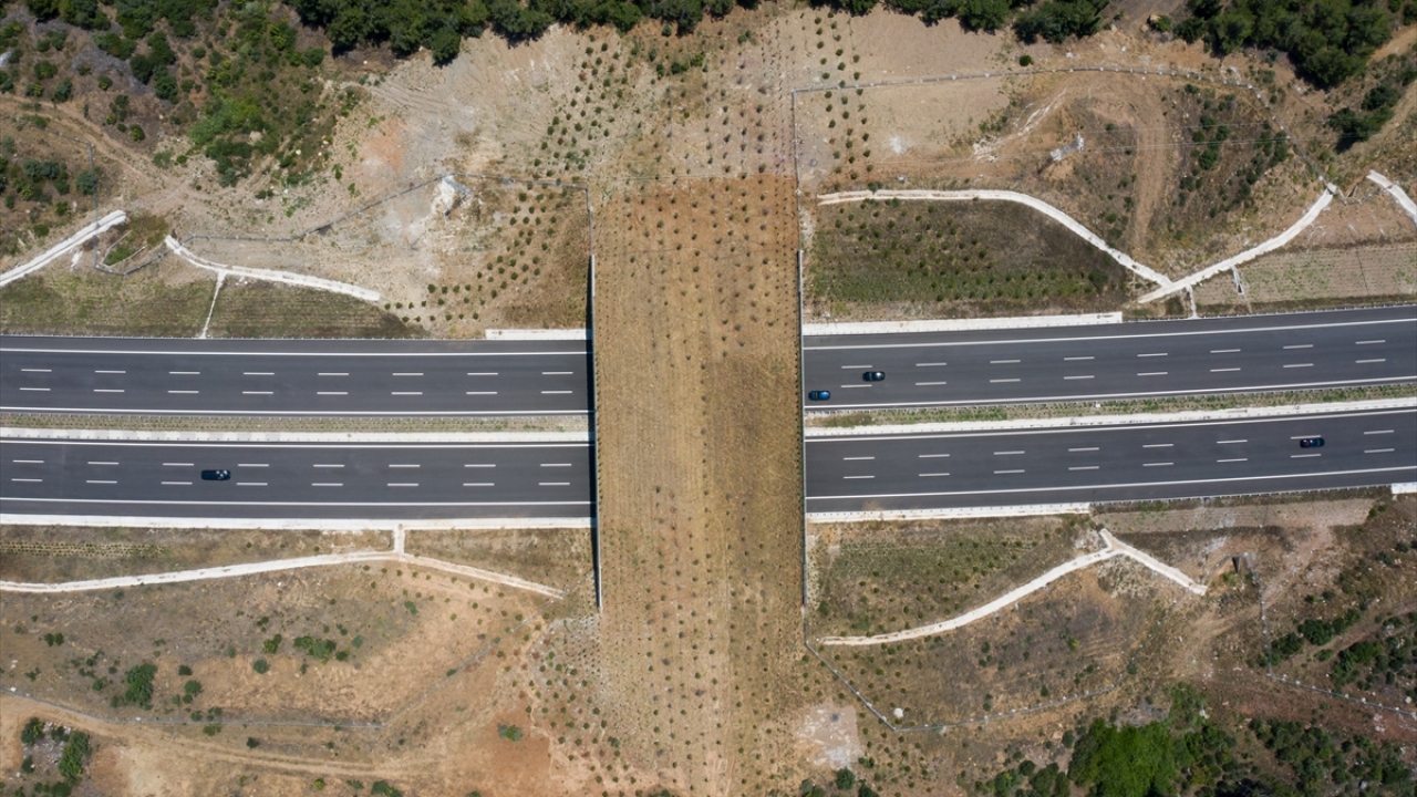 İstanbul-İzmir Otoyolu`nda iki ekolojik köprü