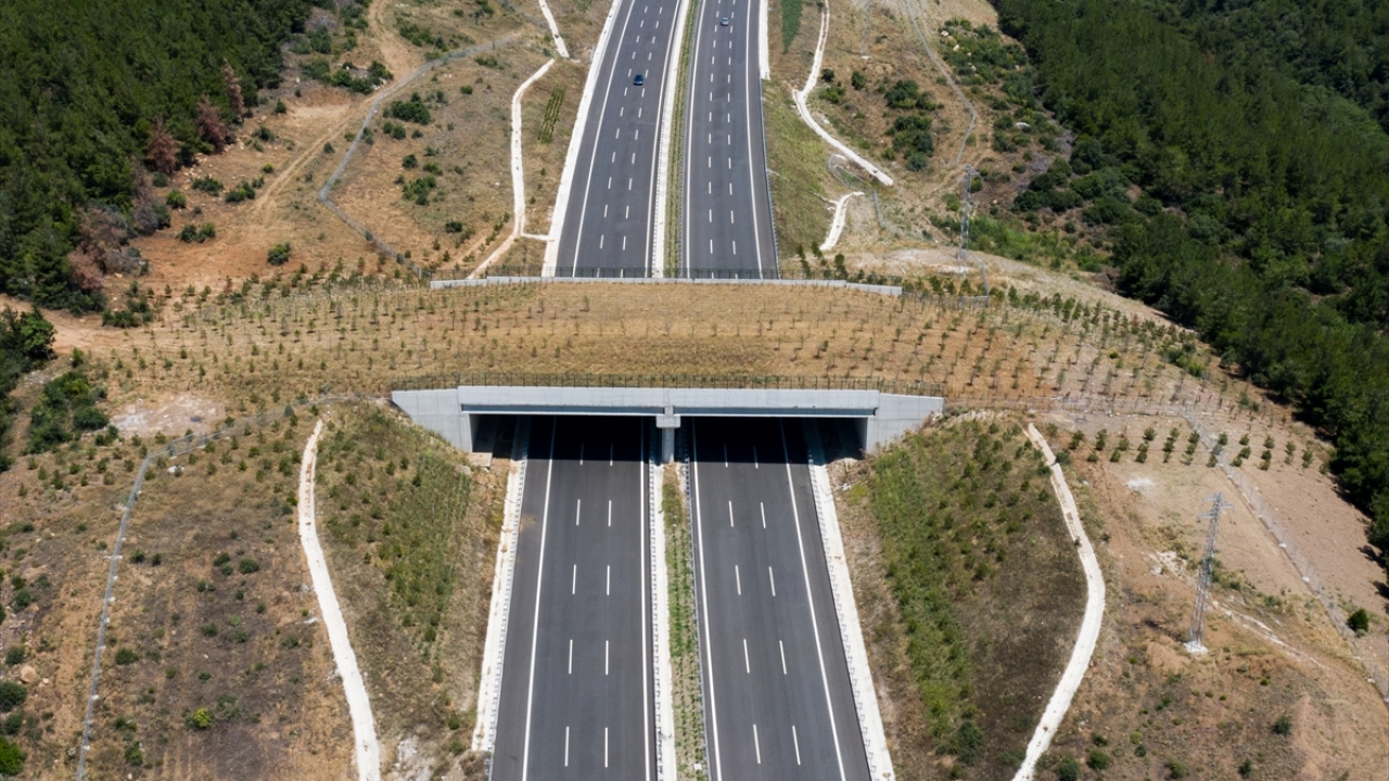İstanbul-İzmir Otoyolu`nda iki ekolojik köprü