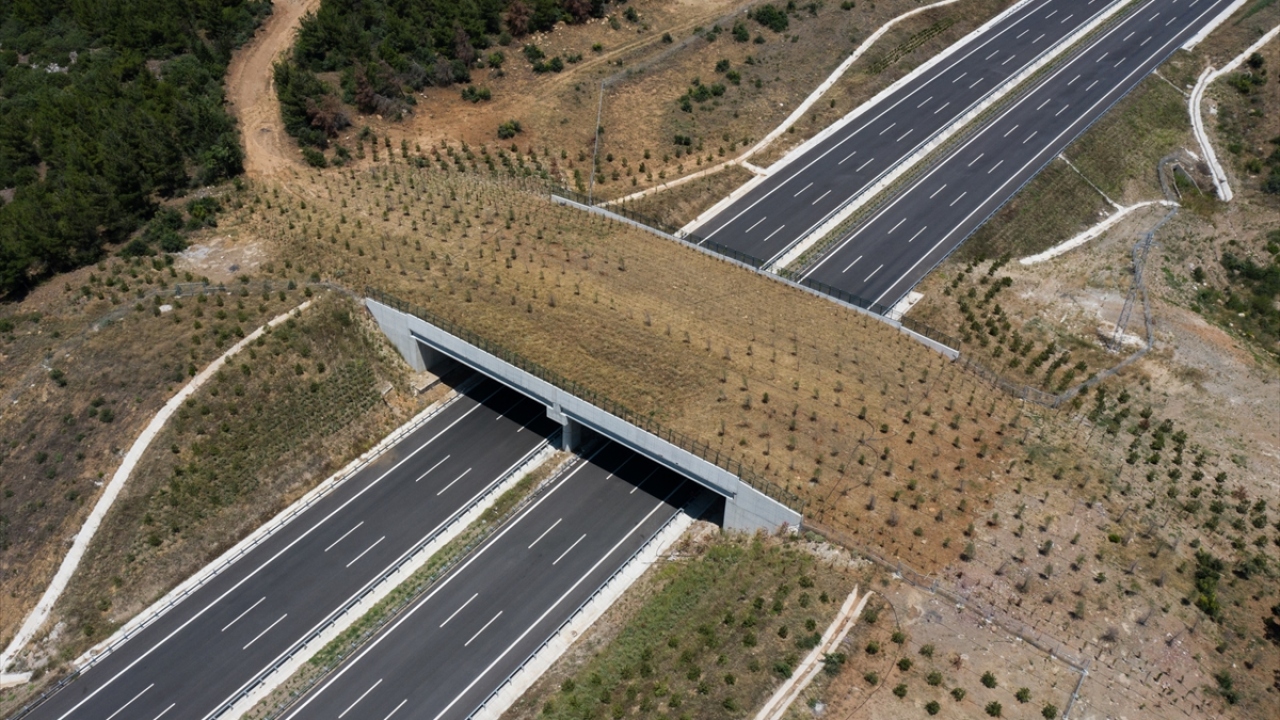 İstanbul-İzmir Otoyolu`nda iki ekolojik köprü