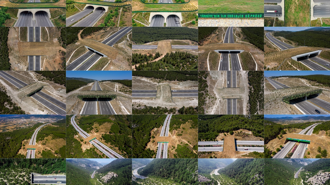 Ulaşımdan enerjiye, tarımdan hayvancılığa pek çok alanda hayata geçirilen projelerde yaban hayatına ilişkin detaylar da göz önünde bulunduruluyor.